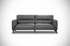 Gray leather sofa on a white background