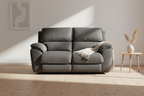 Mempvix Single Motor Electric Recliner Suave Fabric Lounge -Shadow