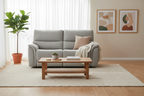 Milsvix Single Motor Electric Recliner Fabric Lounge-Graphite